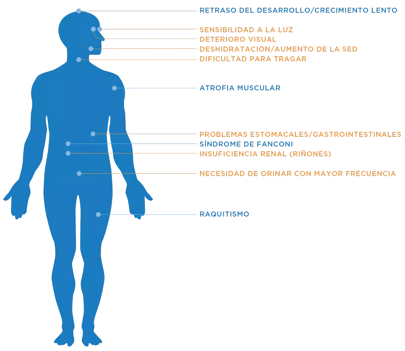 Cistinosis cuadro 3