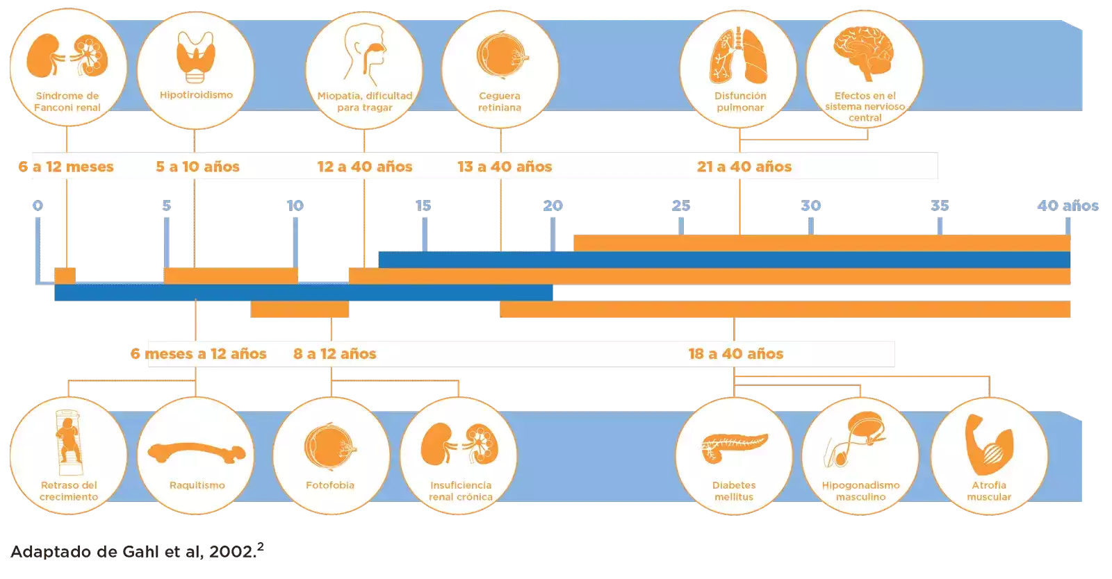 Cistinosis cuadro 4